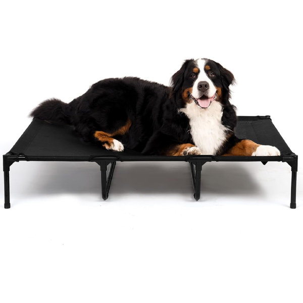 Latitude Run® Dessau Pet Bed Wayfair